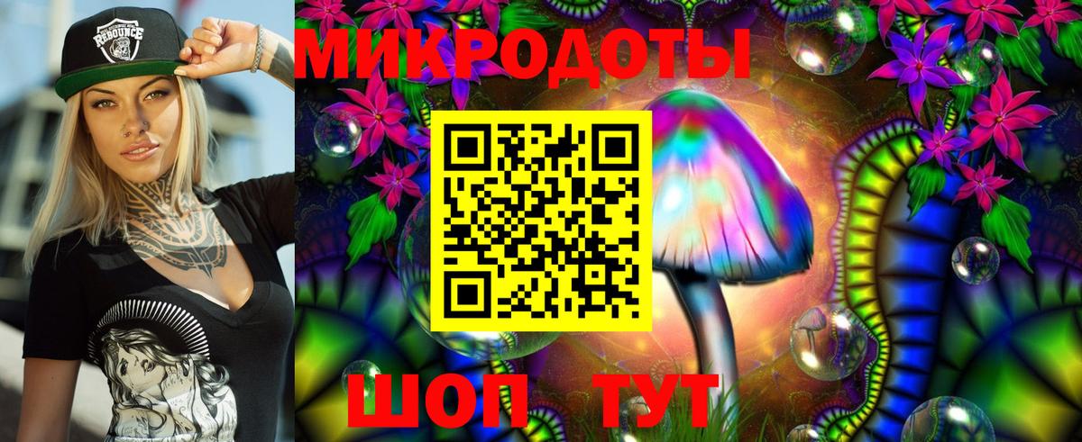 Псилоцибиновые грибы Psilocybe Фурманов