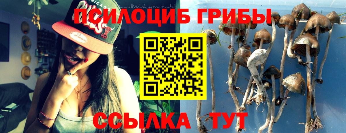 Псилоцибиновые грибы GOLDEN TEACHER  Вход с VPN  Фурманов 